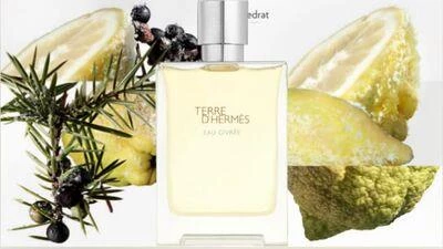 Terre D Hermes HRM20884 EAU Gıvree 100ML EDP Erkek Parfüm - 3