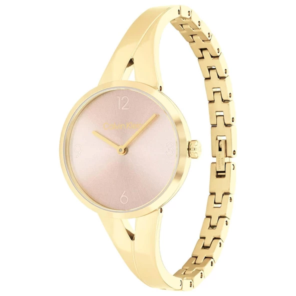 Calvin Klein CK25100027 Kadın Kol Saati - Resim 2