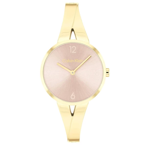 Calvin Klein CK25100027 Kadın Kol Saati ürün görseli