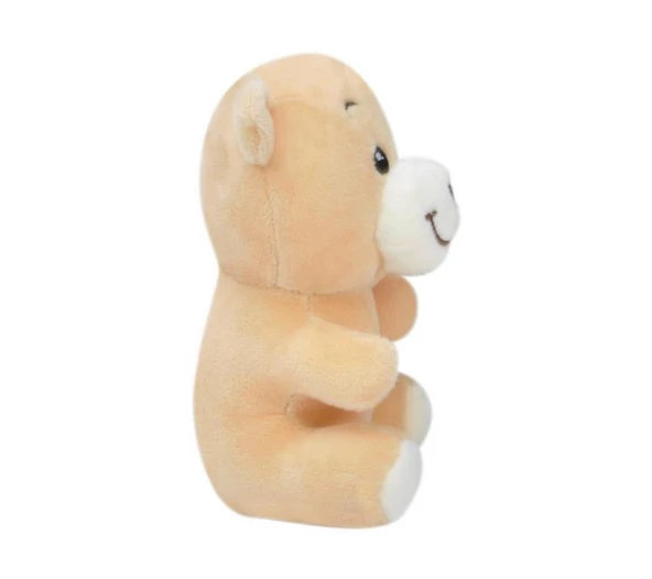 Ayı 20 cm Pelüş Ayı Çocuk Oyuncak - 2
