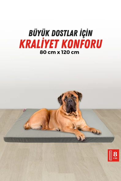 XPERMATE Patiminder Köpek Yatağı  Büyük Irk Köpek Yatağı Büyük Köpek Yatakları  80x120 cm - 4