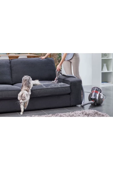 DYSON Cinetic Big Ball Absolute 2 Kablolu Süpürge - Resim 4