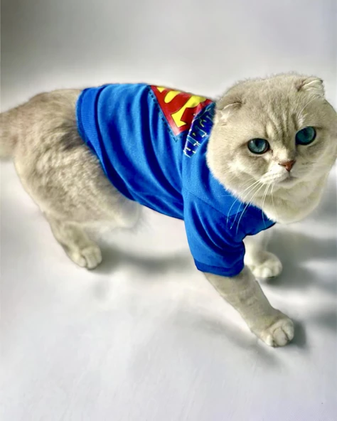 Mavi Superman Kedi Tişörtü Kedi Kıyafeti Kedi Elbisesi - 3