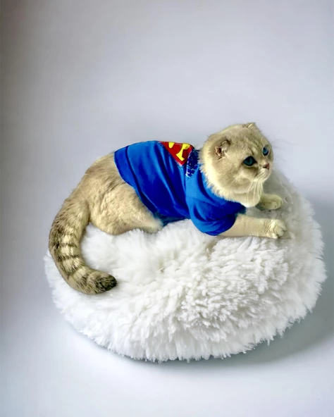 Mavi Superman Kedi Tişörtü Kedi Kıyafeti Kedi Elbisesi - 6