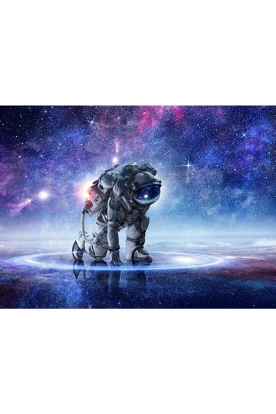 Astro Canvas Tablo (50x70) - Resim 2