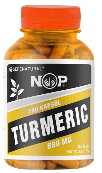 Zerdeçal Kapsül 100 x 880 mg Curcumin Kurkumin Turmeric