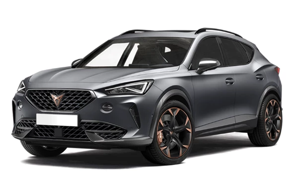 Rizline Cupra Formentor 2022+ 3D Bagaj Havuzu Ve Paspas Set - Resim 5