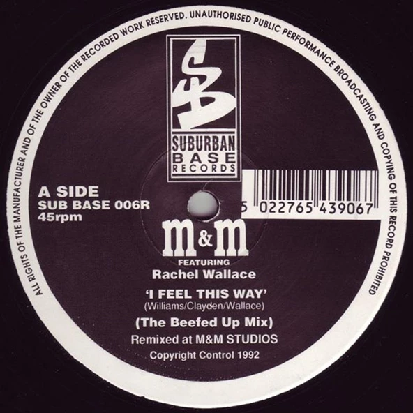 M&M Featuring Rachel Wallace – I Feel This Way / Don't Stand In My Way (Remixes) - Breakbeat, Hardcore Vinly Plak  alithestereo