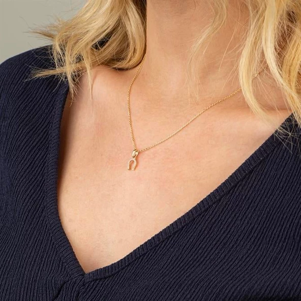 14 Ayar Altın Taşlı Nal Şans Kolye 1,55 gr - Resim 5