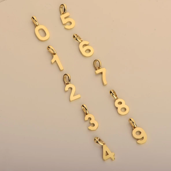 14 Ayar Bir Rakamı Altın Kolye Ucu 0,48 gr - Resim 4