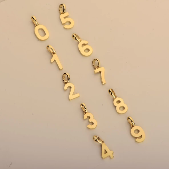 14 Ayar Bir Rakamı Altın Kolye 1,58 gr - 5