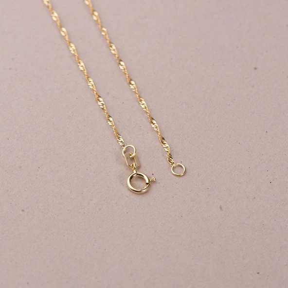 14 Ayar Singapur Altın Zincir Kolye - 1,00 gr - Resim 3