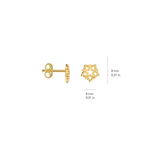 14 Ayar Altın Yıldız Küpe 1,22 gr - 5