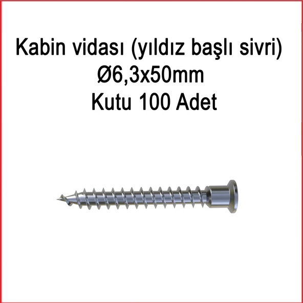 Metal Galvaniz Kabin vidası (yıldız başlı sivri) 06,3x50mm 100 Adet Kargo bedava - 3
