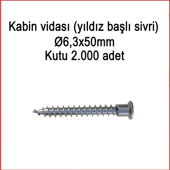 Metal Galvaniz Kabin vidası (yıldız başlı sivri) 06,3x50mm 1000 Adet Kargo bedava - 4