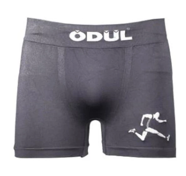 ÖDÜL 2073-3 ERKEK BOXER ANTRASİT 3 LÜ