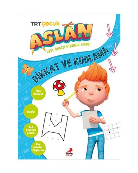 Aslan Dikkat ve Kodlama