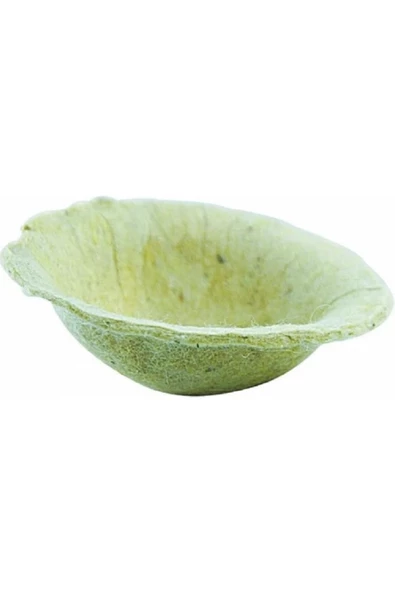 Keçe Kolalı Çukur Kanarya, Finch, İspinoz Yuvası İçin 50 Ad - 1