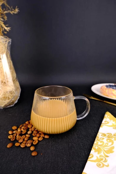 Digithome Borosilikat İnce Cam Kupa Isıya Dayanıklı Bardak 400 Ml - 04169 C1-1-154 - Resim 2