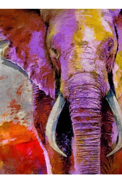 Safari Canvas Tablo (50x70) - Resim 3