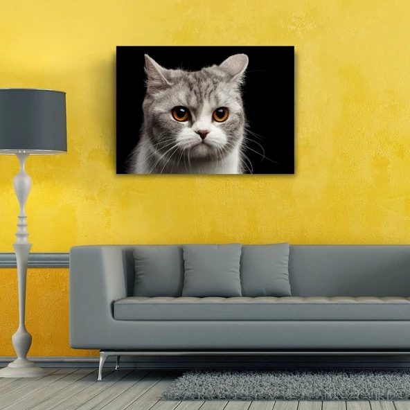 Şirin Gri Kedi Kanvas Tablo 50 x 70 - Resim 2