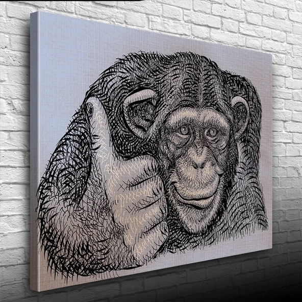 Siyah ve Gri Tonlarda Maymun Portresi Kanvas Tablo 50 x 70 - Resim 3