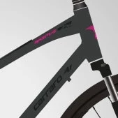 Carraro Sportive 226 HD Disk Fren 24 Vites 28 Jant Şehir Bisikleti Antrasit Siyah 46 Kadro ürün görseli