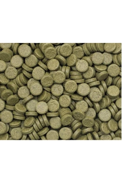 Akvaryum Balıkları İçin Sera Cama Yapışan Tablet Yem 50 Ad (Deneme Paketi) - 3