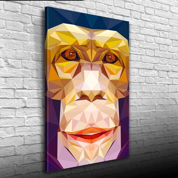 Soyut Maymun Figürü Kanvas Tablo 50 x 70 ürün görseli 1