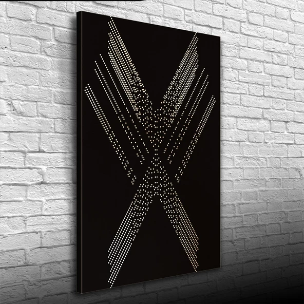 Siyah Beyaz Noktalardan Oluşan x Kanvas Tablo 50 x 70 - Resim 3