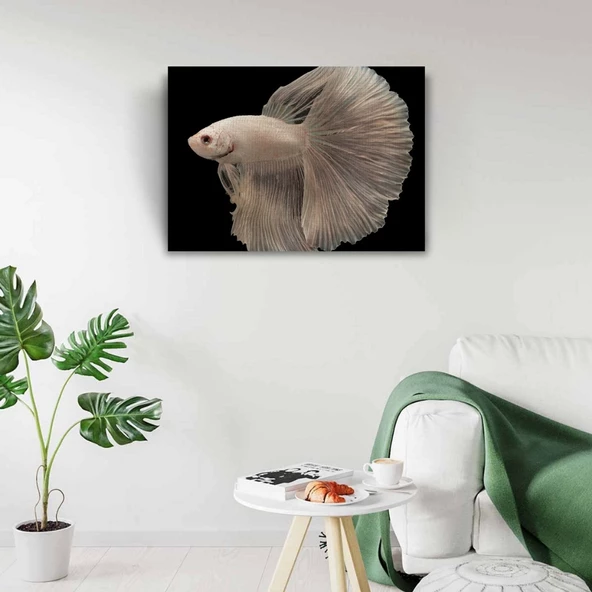 Siyam Balığı Kanvas Tablo 50 x 70 - 2