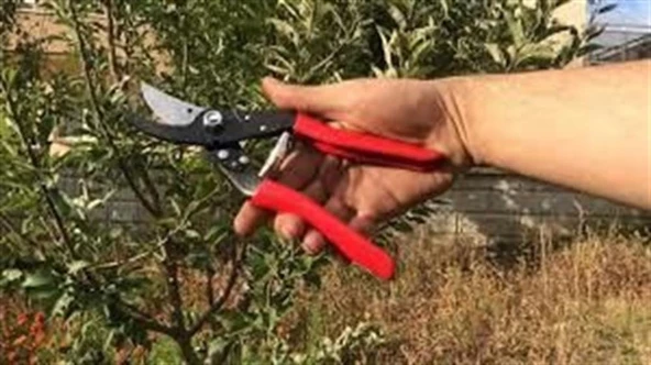 TURCO BUDAMA MAKASI (T7) - 3