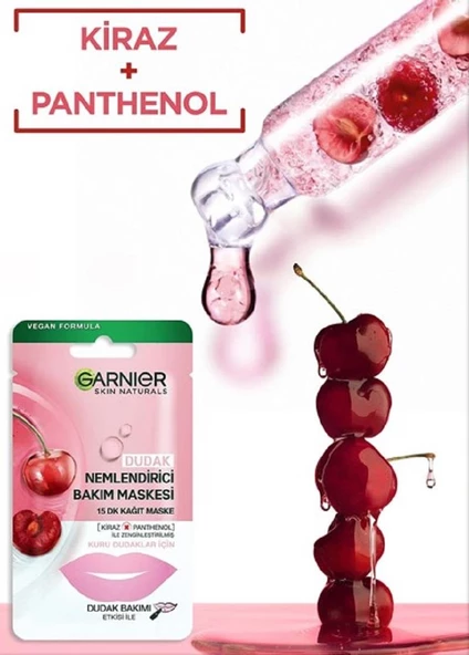 Garnier Dudak Nemlendirici Bakım Maskesi 5 gr - 6
