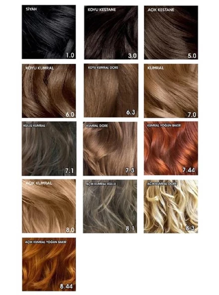 Prozinc Color Saç Boyası - 8.44 Light Blonde Intense Copper Bakıt - Resim 4