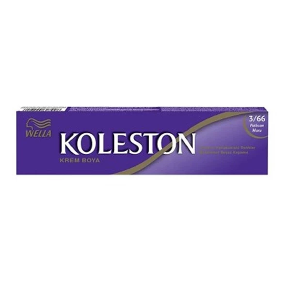 Koleston Tüp Boya Patlıcan Moru 3-66