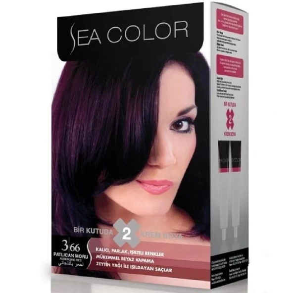 Sea Color Set Boya 3.66 Patlıcan Moru ürün görseli