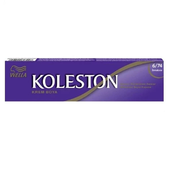 Koleston Tüp Boya 6/74 Terrakota ürün görseli