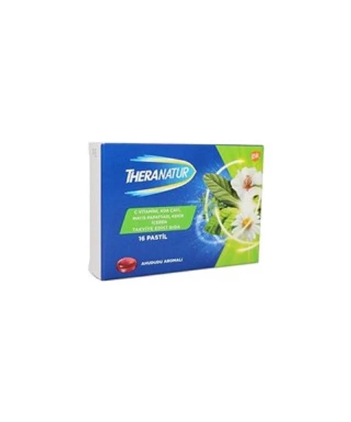 Theranatur Ahududu Aromalı 16 Pastil