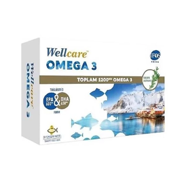 Wellcare Omega 3 Balık Yağı 1200 mg 30 Kapsül ürün görseli