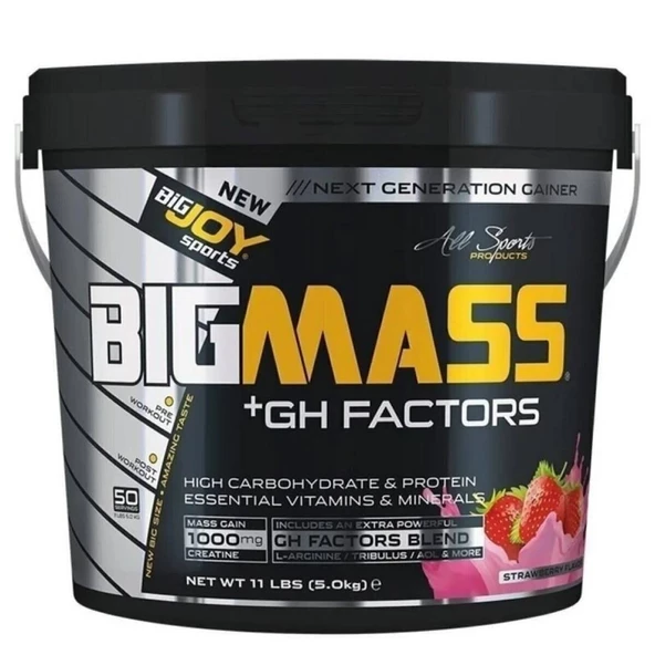 BigJoy Sports Bigmass +GH Factors Çilek 5 kg ürün görseli