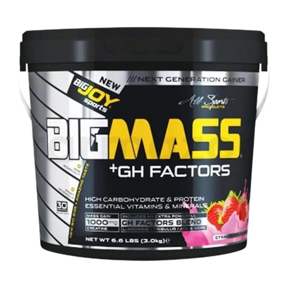 BigJoy Sports Bigmass GH Factors Çilek 3 kg ürün görseli