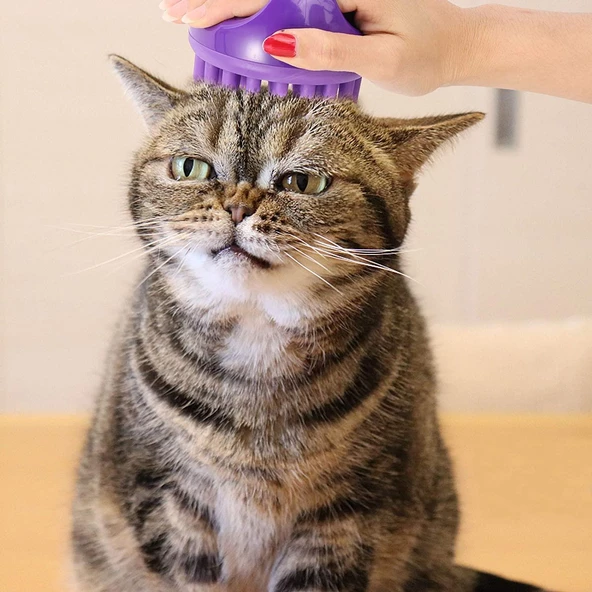 Mikro Dikenli Silikon Masaj Aleti, Kafa ve Selülit Masaj Fırçası - 2