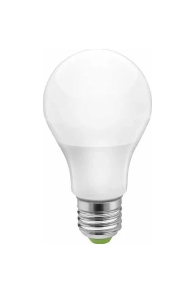 Sılver 9 Watt Led Ampul Beyaz Işık