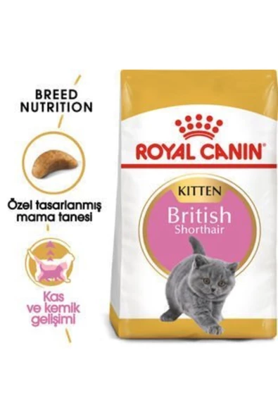Royal Canin British Shorthair Yavru Kedi Maması 2 Kg - 3