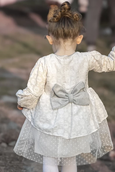 Kız Bebek Elbise Kız Çocuk Elbise Doğum Günü Parti Düğün Elbise Tüllü Uzun Kol Astarlı Bebek Giyim ELBFYNKTUL - 9