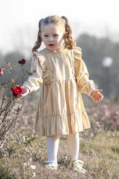 Kız Bebek Elbise Kız Çocuk Elbise Doğum Günü Parti Düğün Elbise Uzun Kol Bebek Giyim - 4