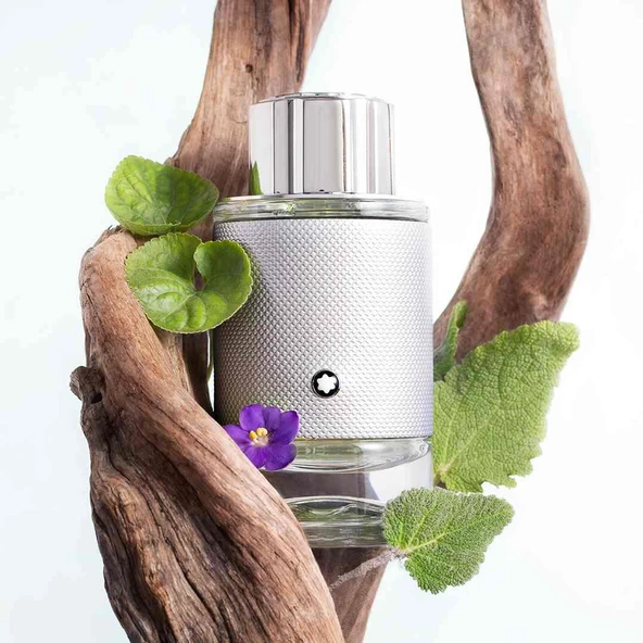 Mont Blanc Explorer Platinum EDP 100 ml Erkek Parfümü - 2