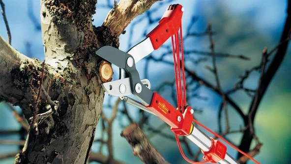 Wolf Garten RC-M Örs Tipi Yüksek Dal Makası - 4