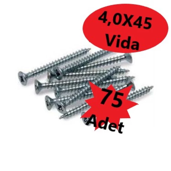 Sunta Vidası 4,0X45, 75 Adet Tam Diş SNT YHB Vida