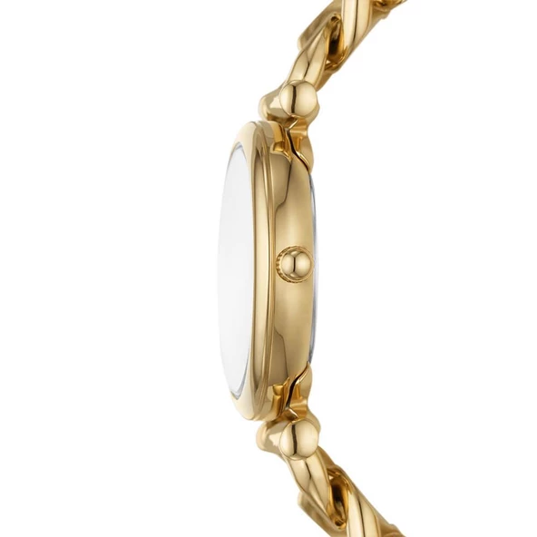 Fossıl FES5329 Kadın Kol Saati - Resim 2